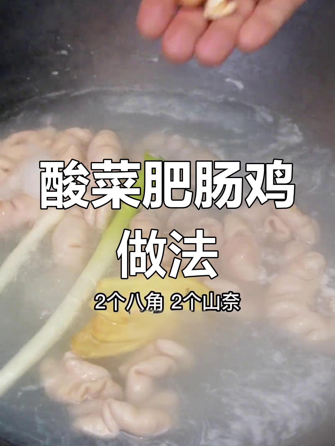 酸菜肥肠鸡,麻辣鲜香让你停不下来