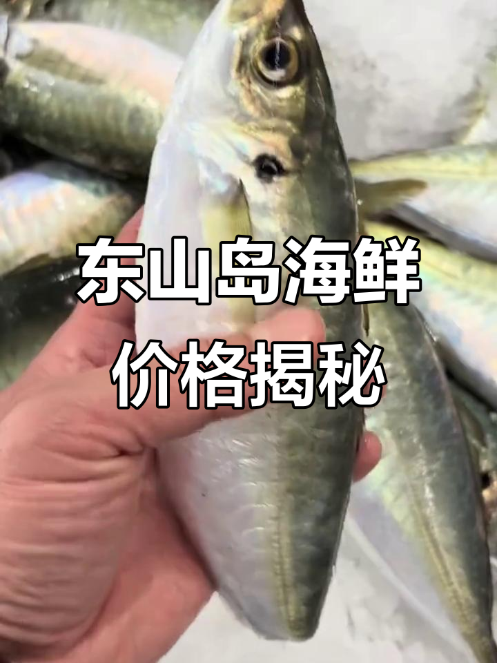 福建东山海鲜市场行情:皮皮虾、白鲳鱼等价格一览