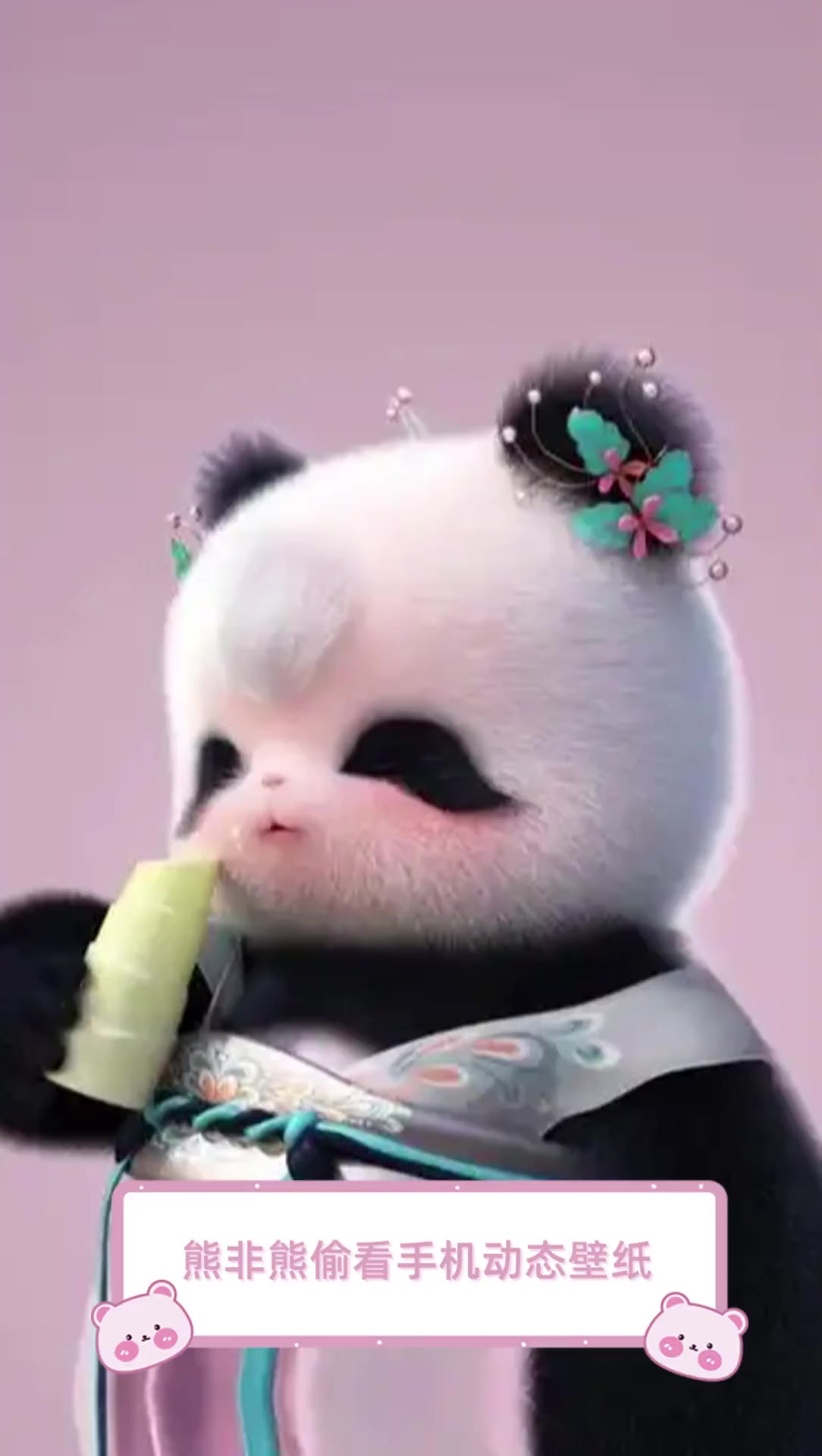 熊非熊偷看手机动态壁纸