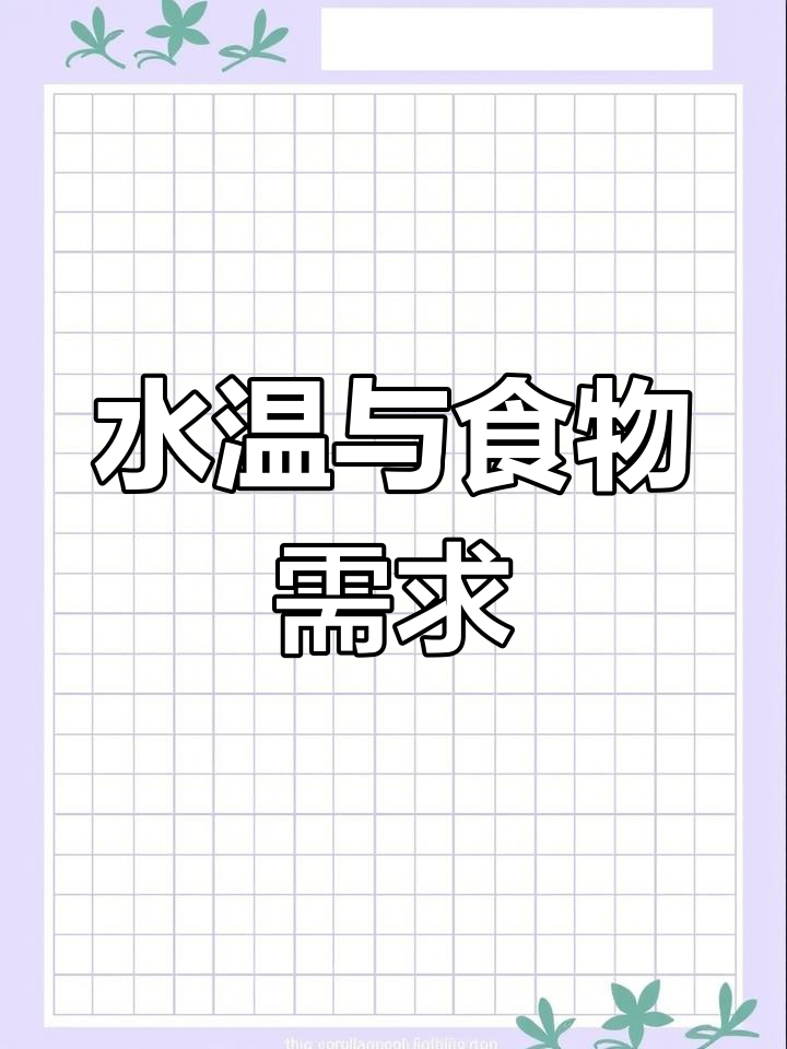 七彩神仙鱼需25-30℃水温,杂食性温和,喜动物饲料