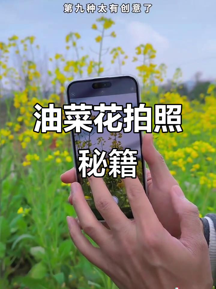 九种油菜花拍摄技巧,轻松拍出唯美照片