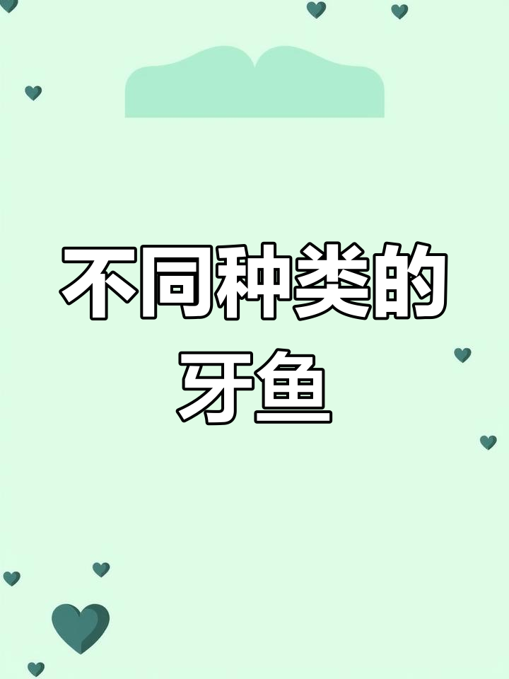 阿马帕牙鱼与雷西帝牙鱼的对比