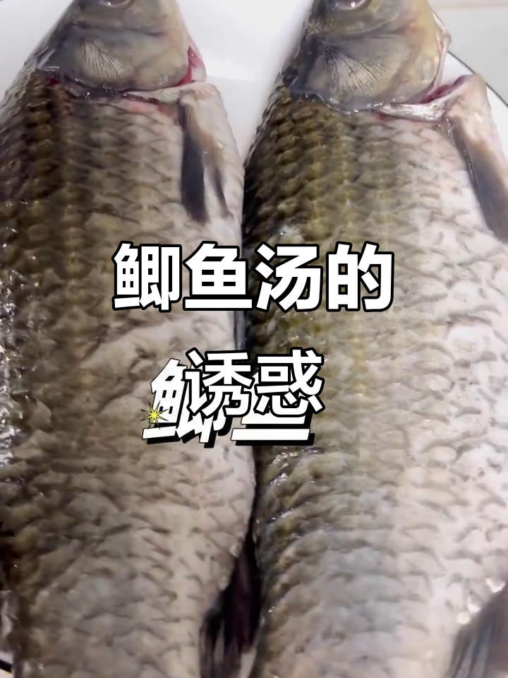 鲫鱼汤白如奶，鲜美无比，喝上一碗让人停不下来！