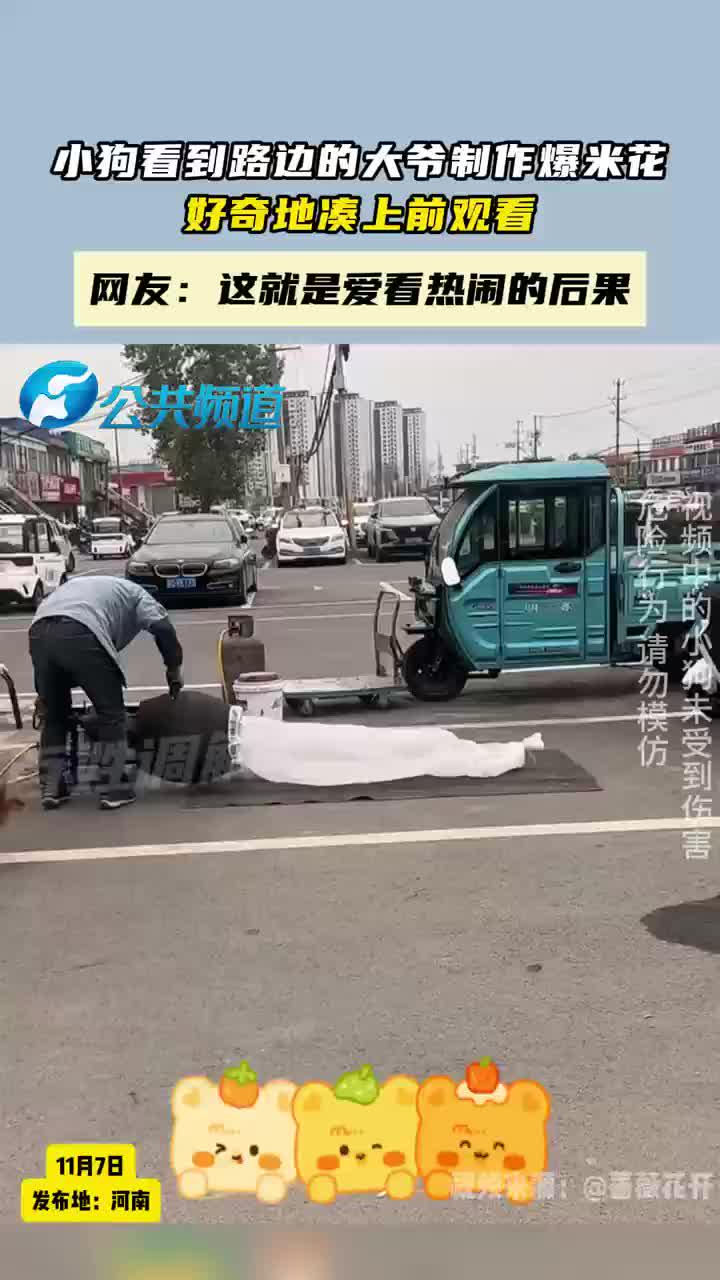 小狗看到路边的大爷制作爆米花,好奇地凑上前观看