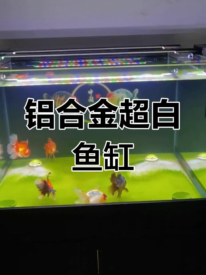 超白玻璃金鱼缸设计解析