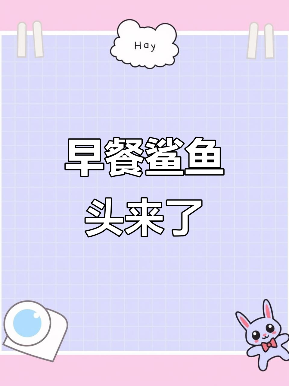新鲜鲨鱼头来袭,早晨的鱼肉更美味