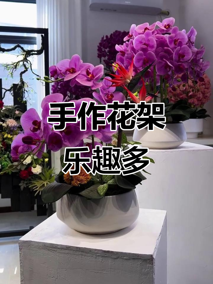 用100元手工打造6个蝴蝶兰花架,简单又有趣!