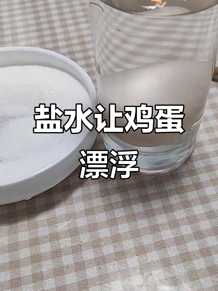 盐的密度如何让鸡蛋浮起来?实验揭秘死海原理