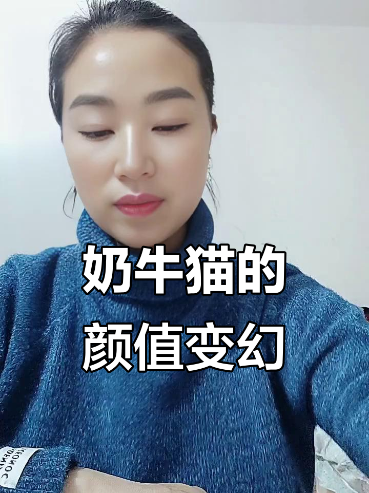奶牛猫颜值大变样,表情包超搞笑