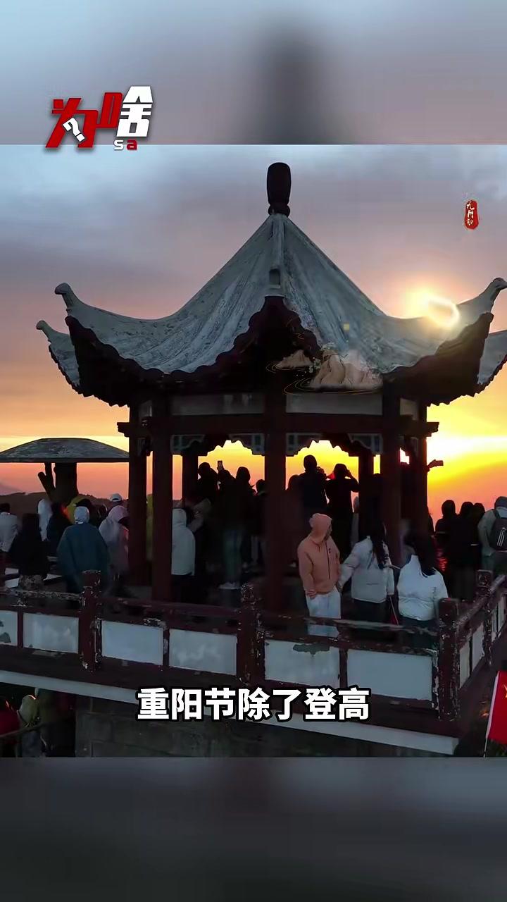 为啥重阳糕上插小旗 为啥 重阳糕 重阳节 插小旗