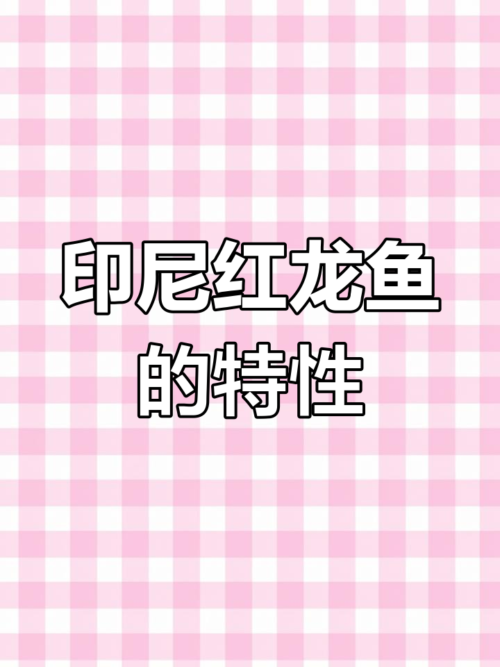 印尼红龙鱼:独特特征与繁殖习性揭秘