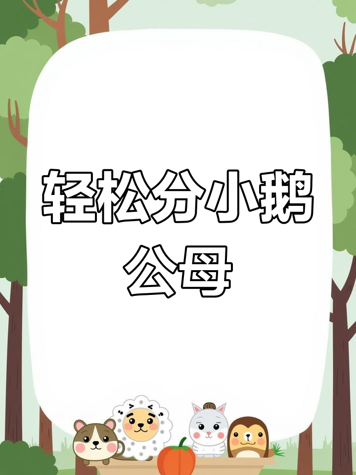 小鹅公母分辨技巧,一看就懂!