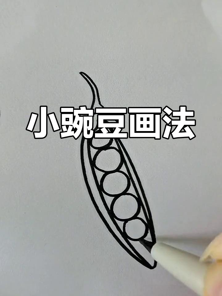 豌豆简笔画教程