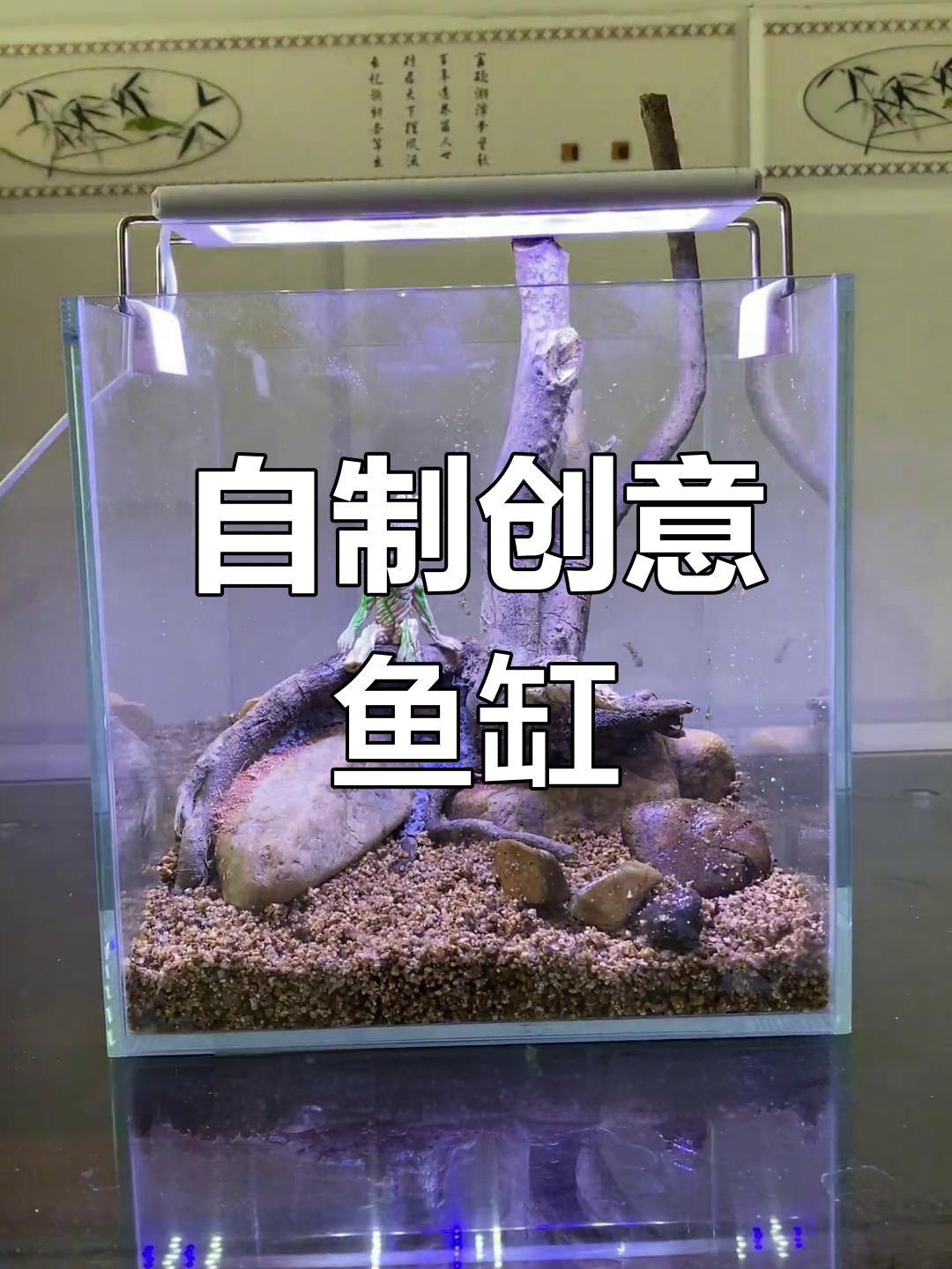 鱼缸造景教程:从石头到小鱼
