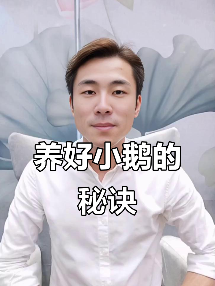 1-75天养鹅全攻略，预防伤亡的关键步骤