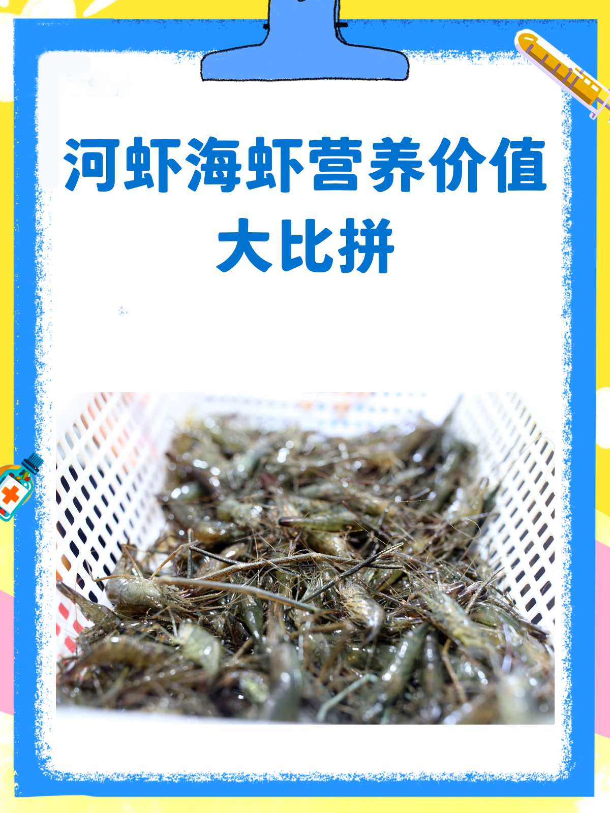 河虾VS海虾,营养价值大比拼!