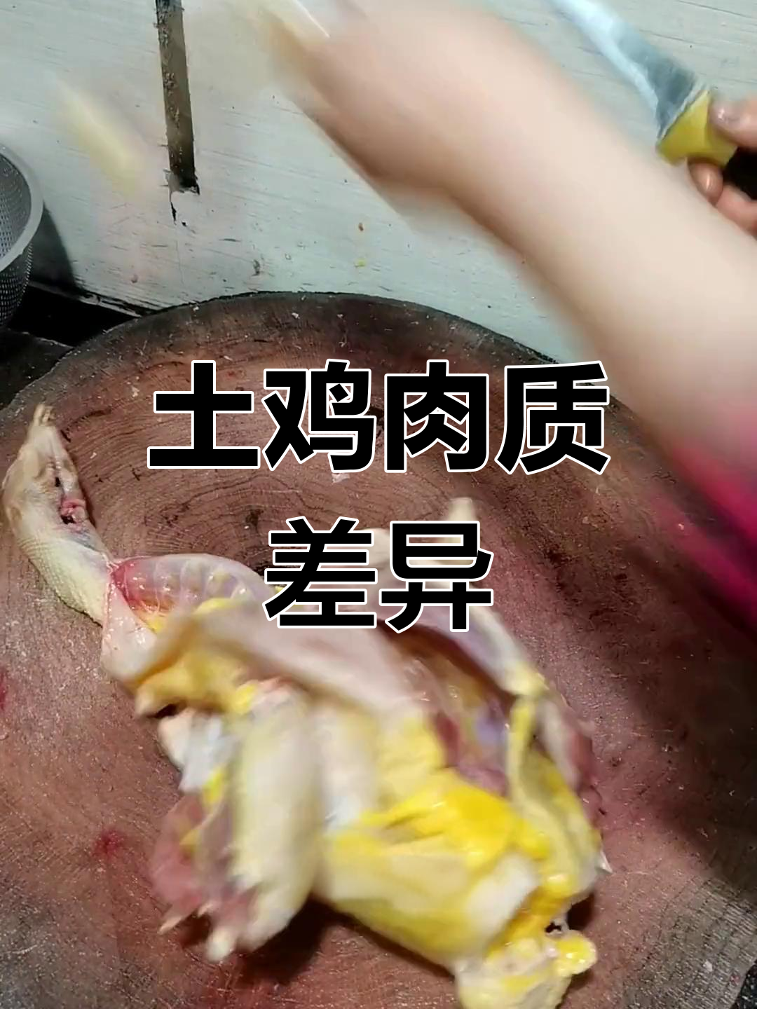 公鸡母鸡炖汤各有千秋