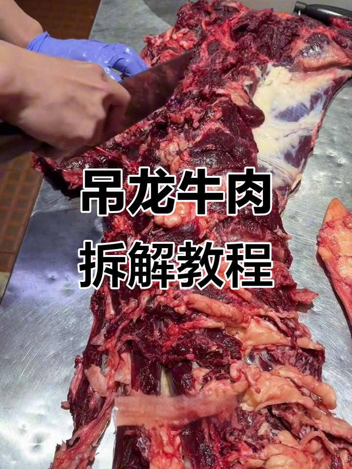 吊龙牛肉火锅分解揭秘,哪些部位适合涮锅?