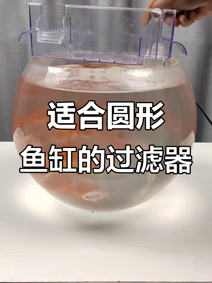 圆形鱼缸必备过滤器，多层过滤让水质更清新
