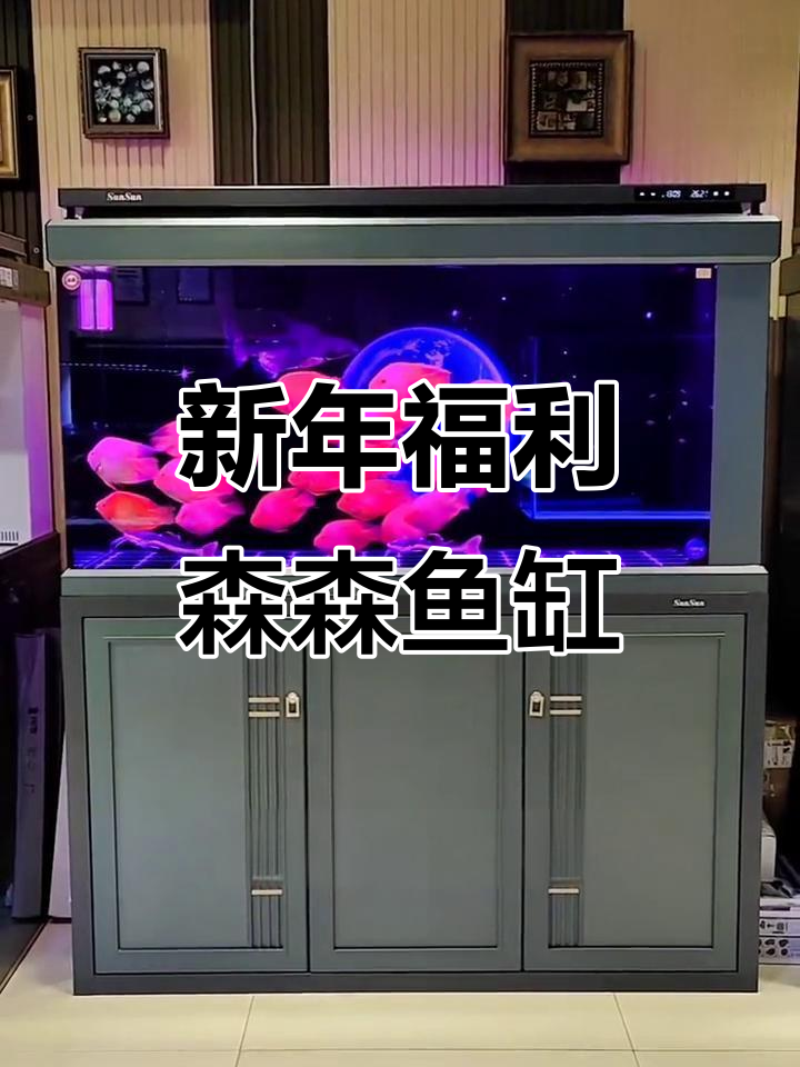 春节来临，森森鱼缸福利来袭！新悦系列等你选