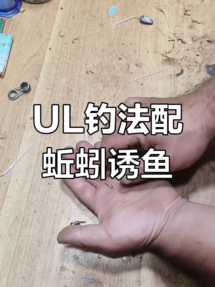 使用蚯蚓钓大鲫鱼和鲶鱼的技巧,UL路亚竿搭配串钩效果更佳