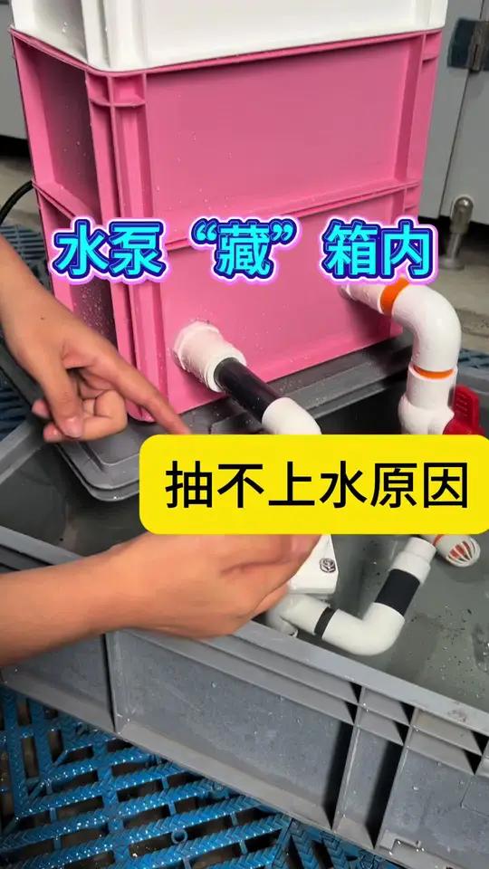水泵内置款周转箱为什么不上水?水泵放在周转箱使用不上水,全面检查 鱼缸过滤 观赏鱼 周转箱