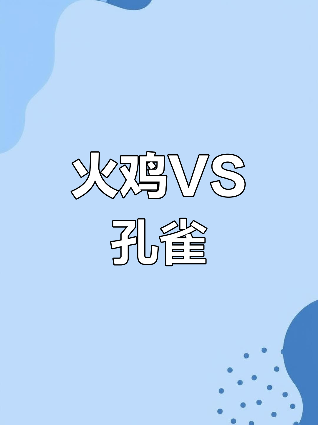 火鸡与孔雀的“战斗”大比拼:谁更勇猛?