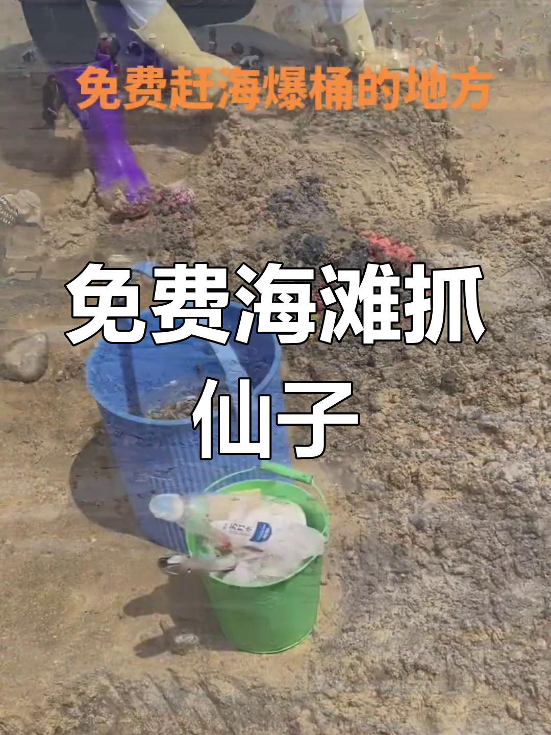 鲅鱼圈海边免费赶海,技巧大公开