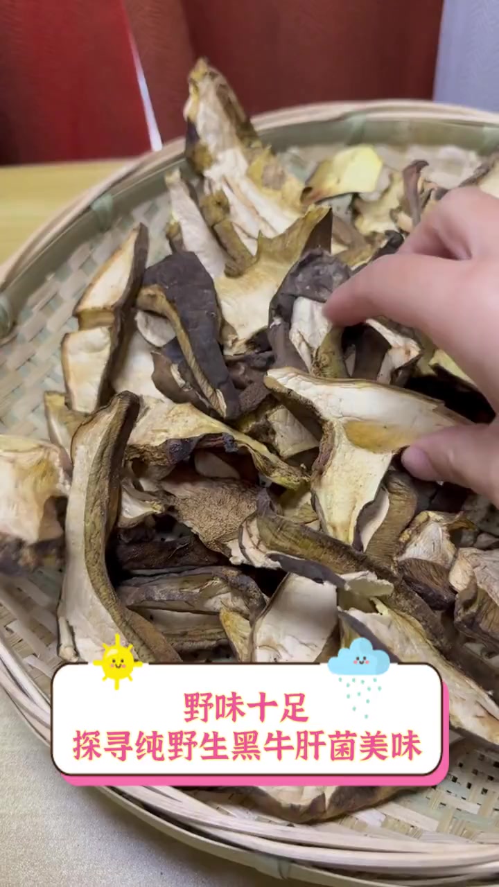 野味十足,探寻纯野生黑牛肝菌美味