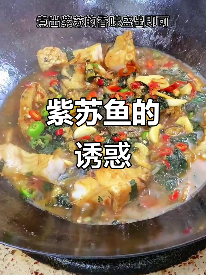 紫苏煮鱼香气扑鼻,连饭都顾不上吃!