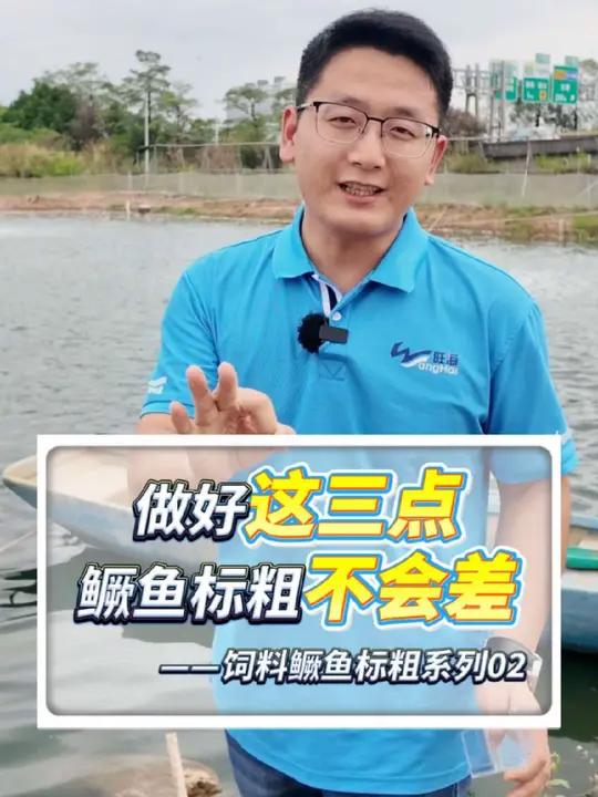 鳜鱼苗标粗做好这三点,成数就不会差:水质管理、虫害管理、充足的饵料鱼