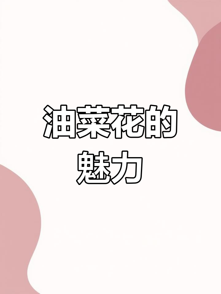 欧洲油菜花美丽动人,种子油丰富,花期果期各有特色