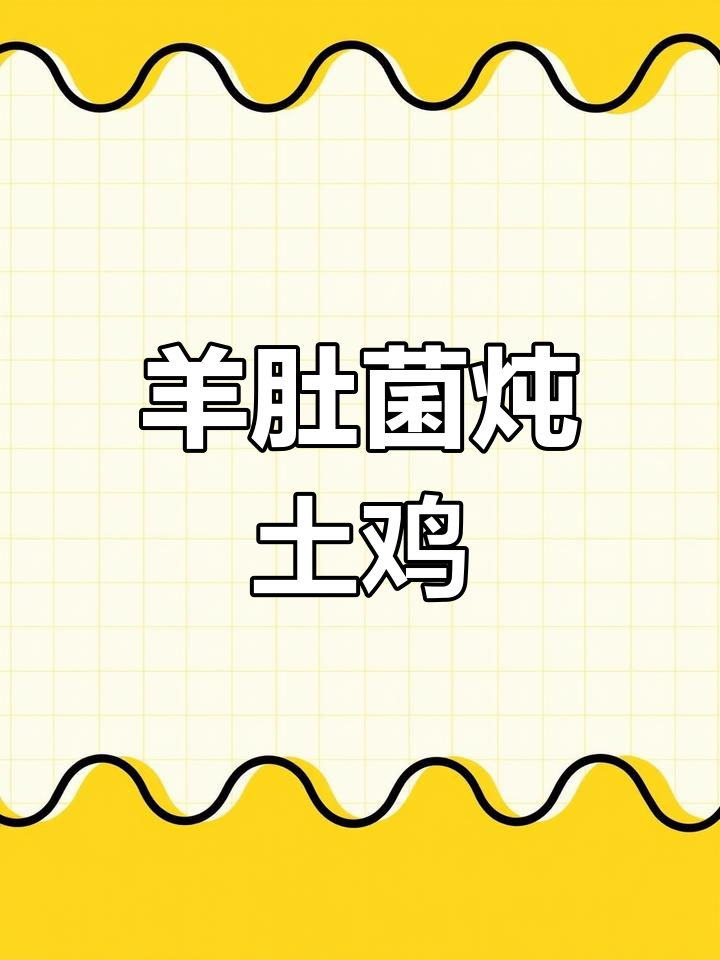 羊肚菌炖土鸡,教你做营养美味佳肴
