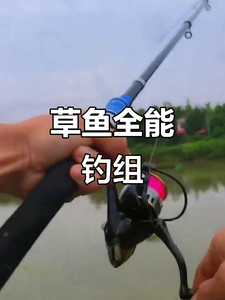 草鱼钓组,PE线搭配大浮球,手竿海竿通用