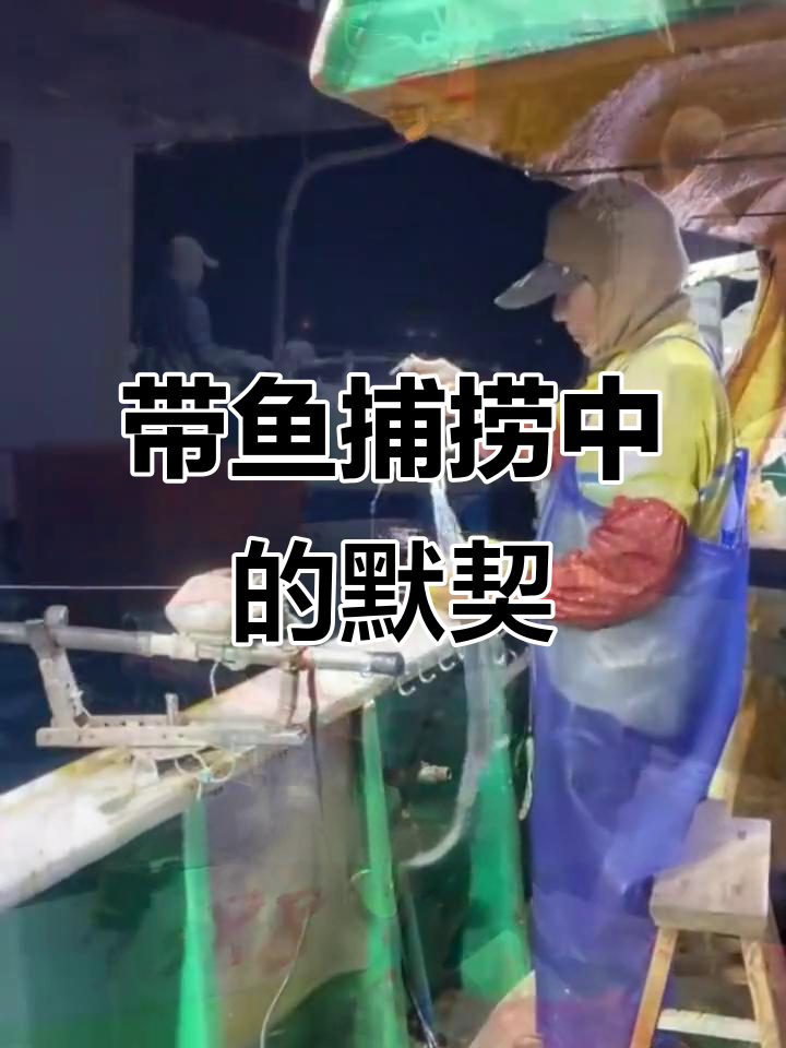 渔民与带鱼的默契:捕捞技巧与海域的完美配合