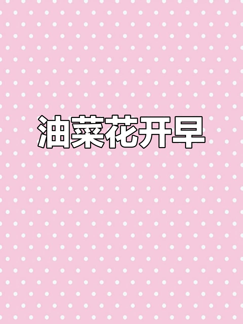 2026年1月成都油菜花提前绽放,绿道美景别错过!