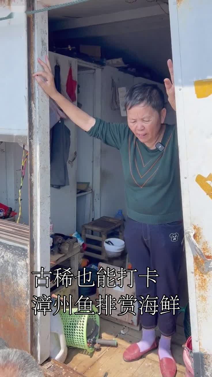 古稀也能打卡漳州鱼排赏海鲜