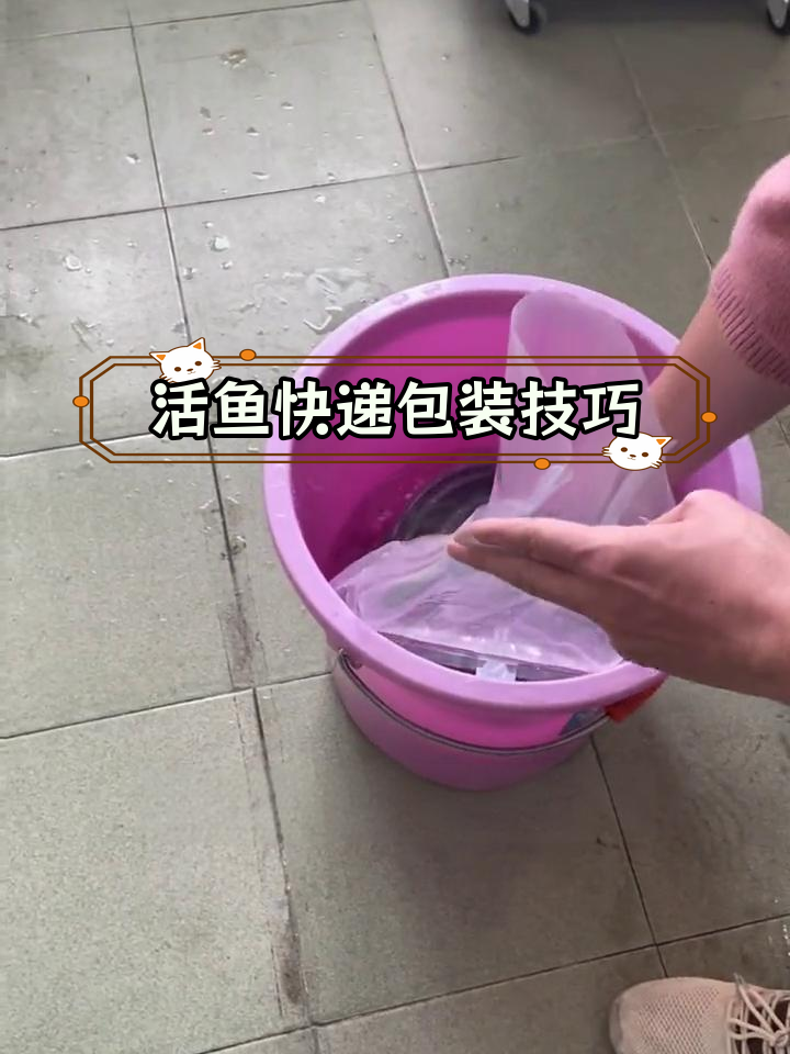 活鱼运输打包全流程,如何正确使用氧气袋