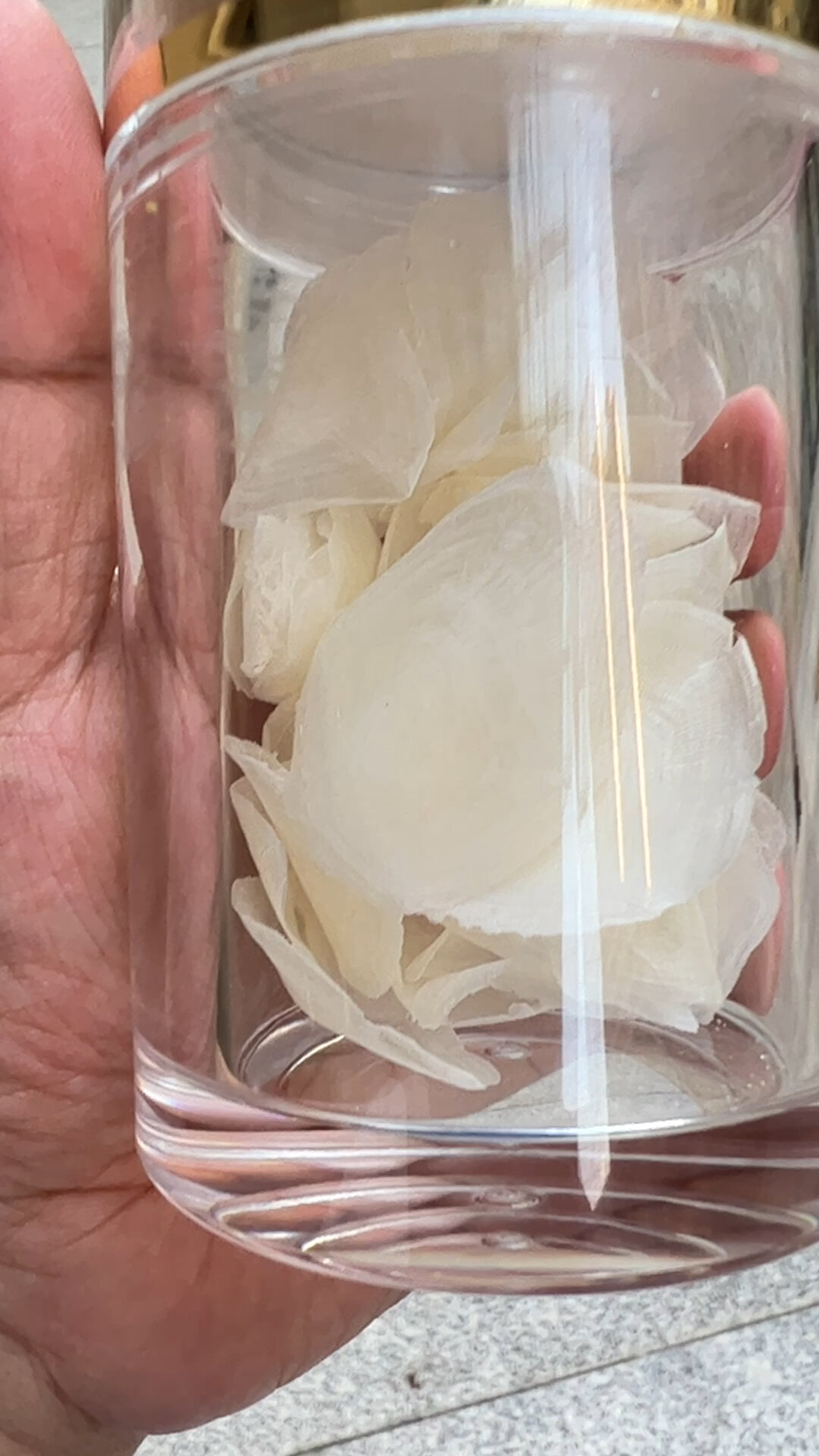 金钱鳘鱼鳞全身都是宝 治疗支气管炎神器