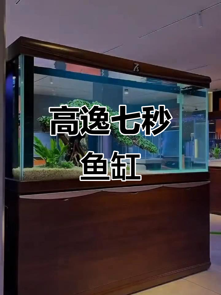 七秒海浪鱼缸:森森高逸系列震撼来袭