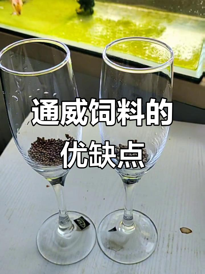 通威饲料性价比高,省成本但需注意黄水问题