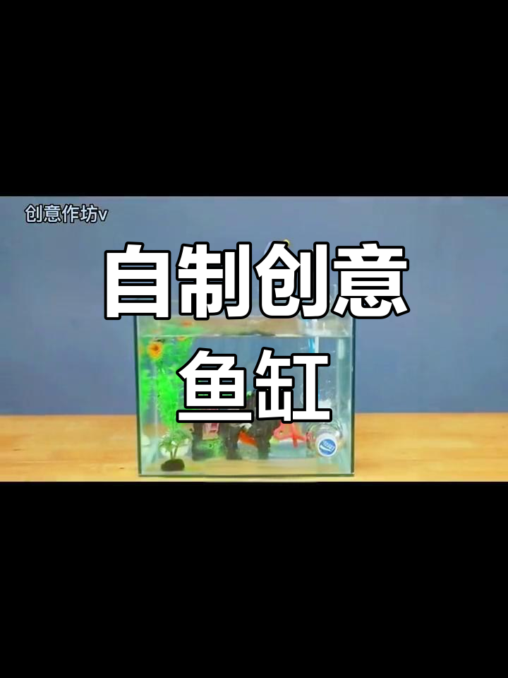 创意小鱼缸,无动力水循环装置制作教程