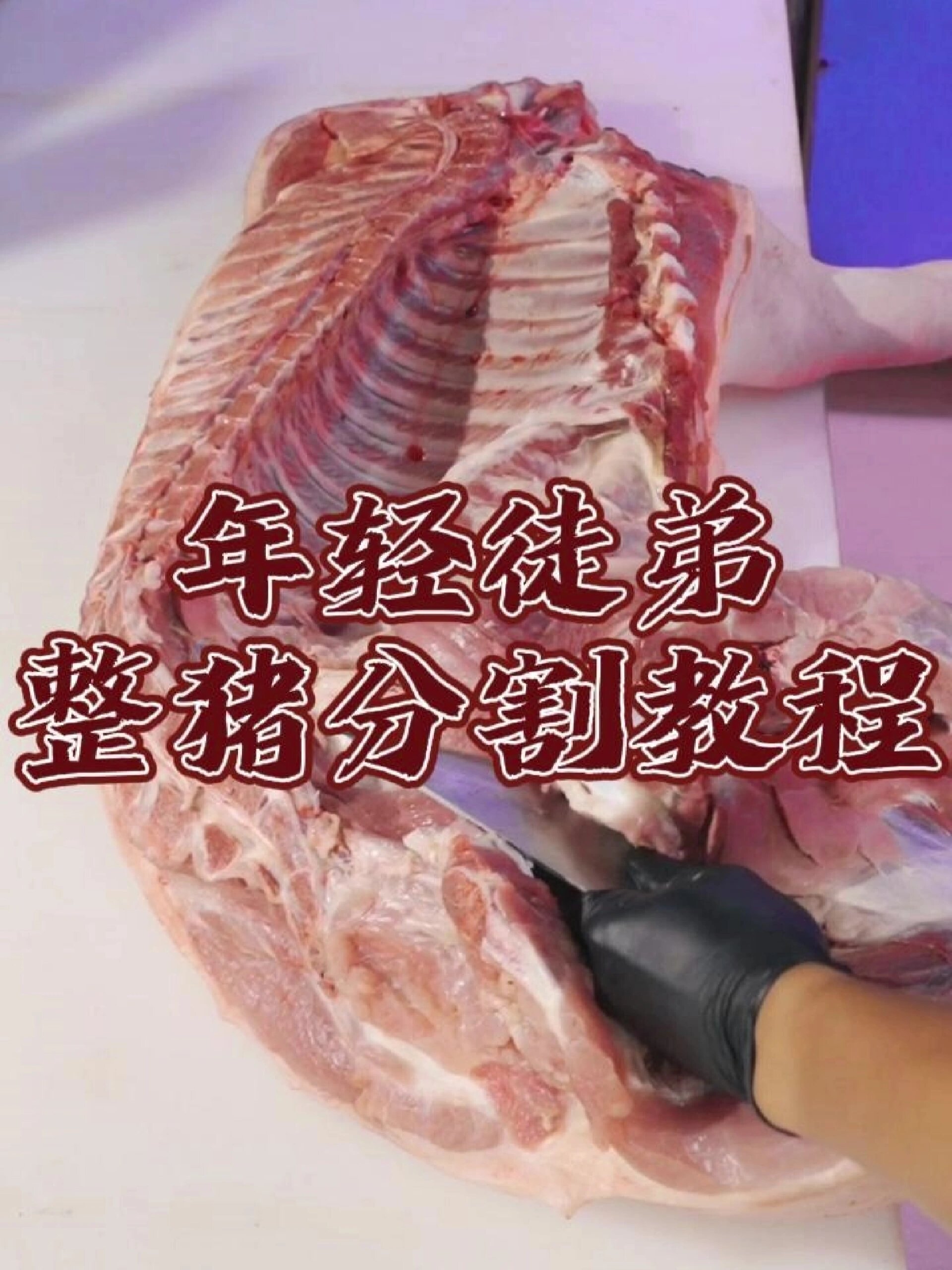 年轻徒弟的边猪分割教程视频