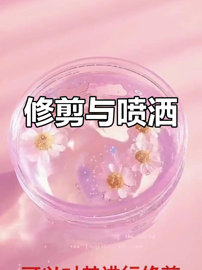 鸭脚木生蚧壳虫防治方法