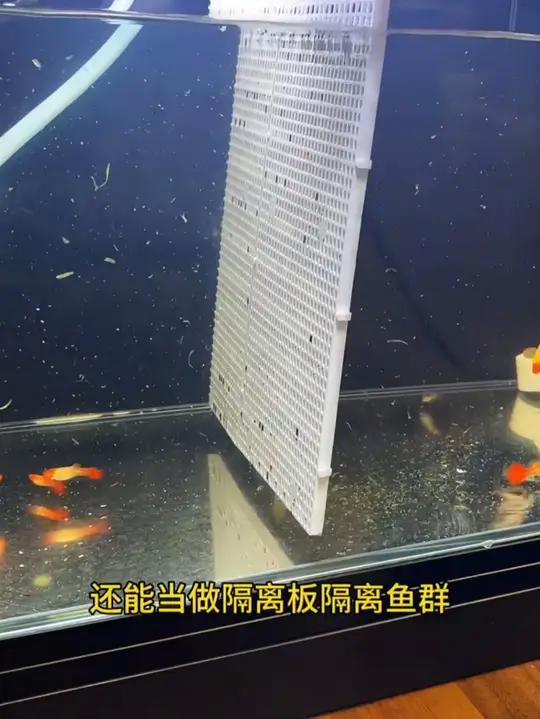 这种鱼缸龟缸网格板你不会还没用过吧！加厚加密材质，可以做乌龟晒台、底滤板龟缸、造景垫板、防