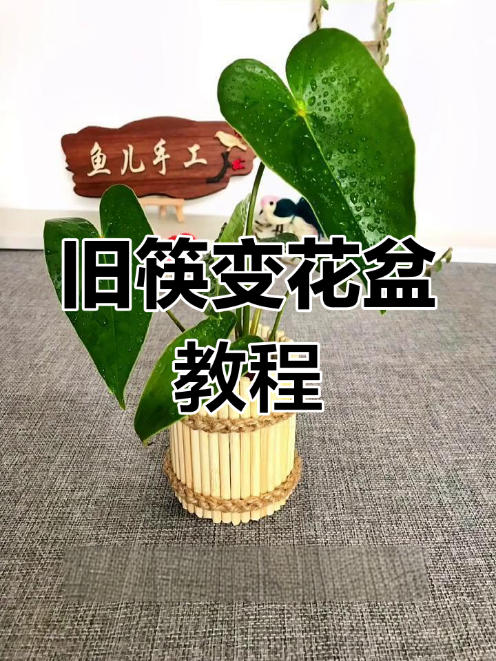 利用废筷子做创意花盆,简单又美观