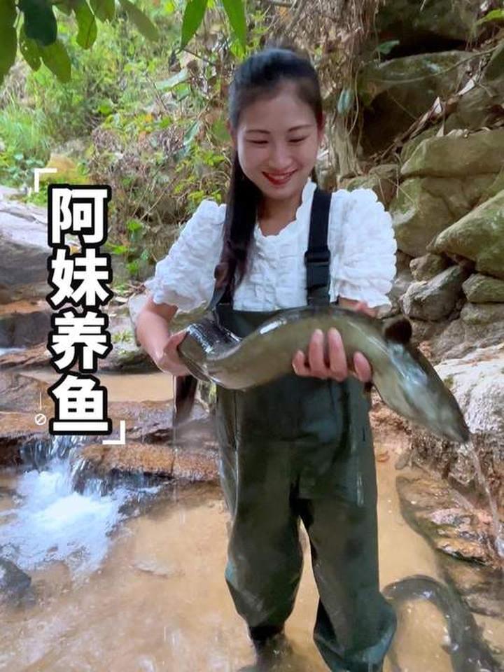 山泉水养花鳗 月薪一万，来山里跟我养花鳗，你愿意吗？