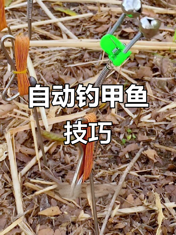 自动钓鱼神器,轻松捕捉甲鱼!