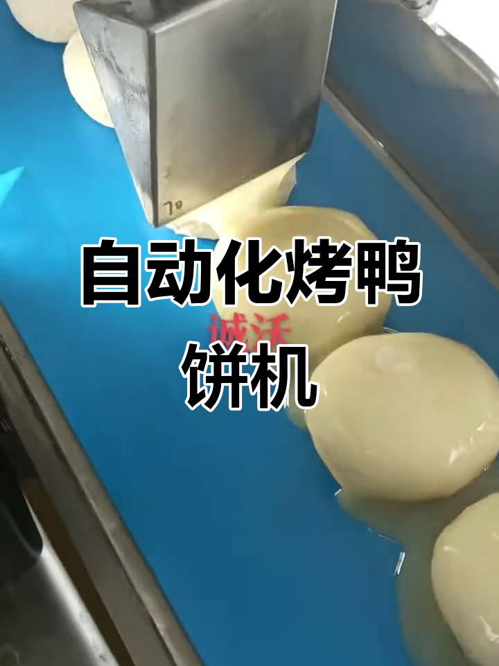 烤鸭饼生产线揭秘:从机器到美味,一气呵成