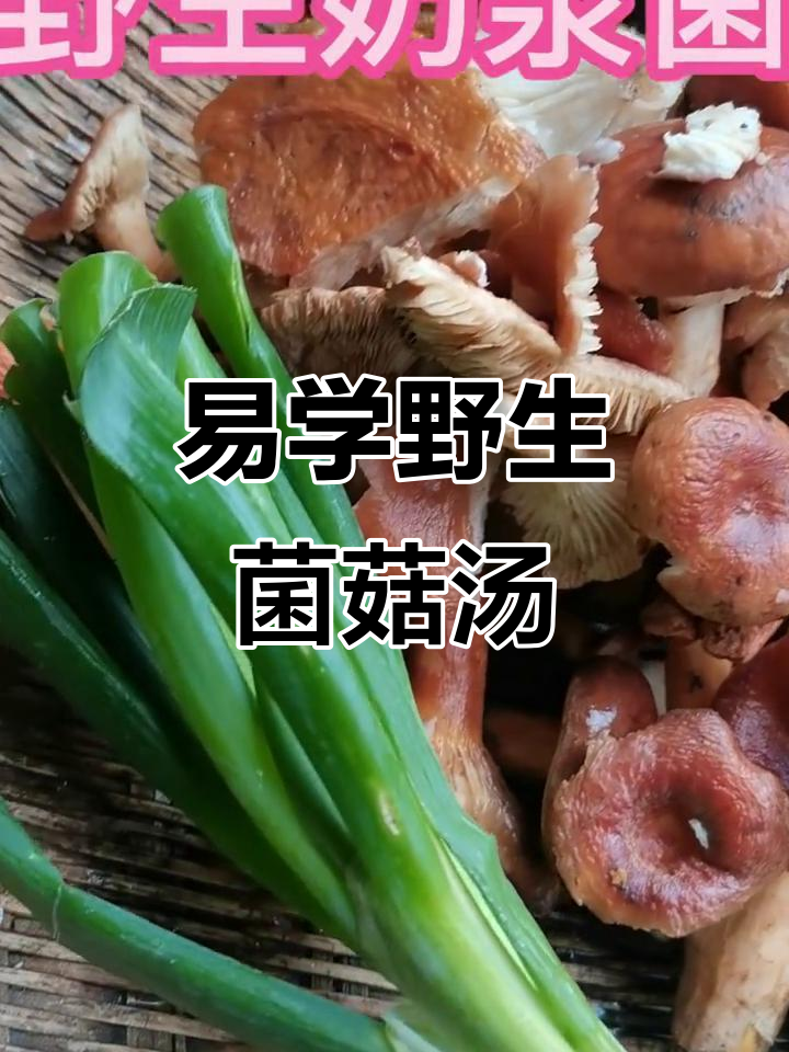 野生菌菇汤，简单又美味！学会这道汤，全村都羡慕你
